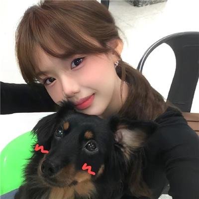 傻子龙婿第二部