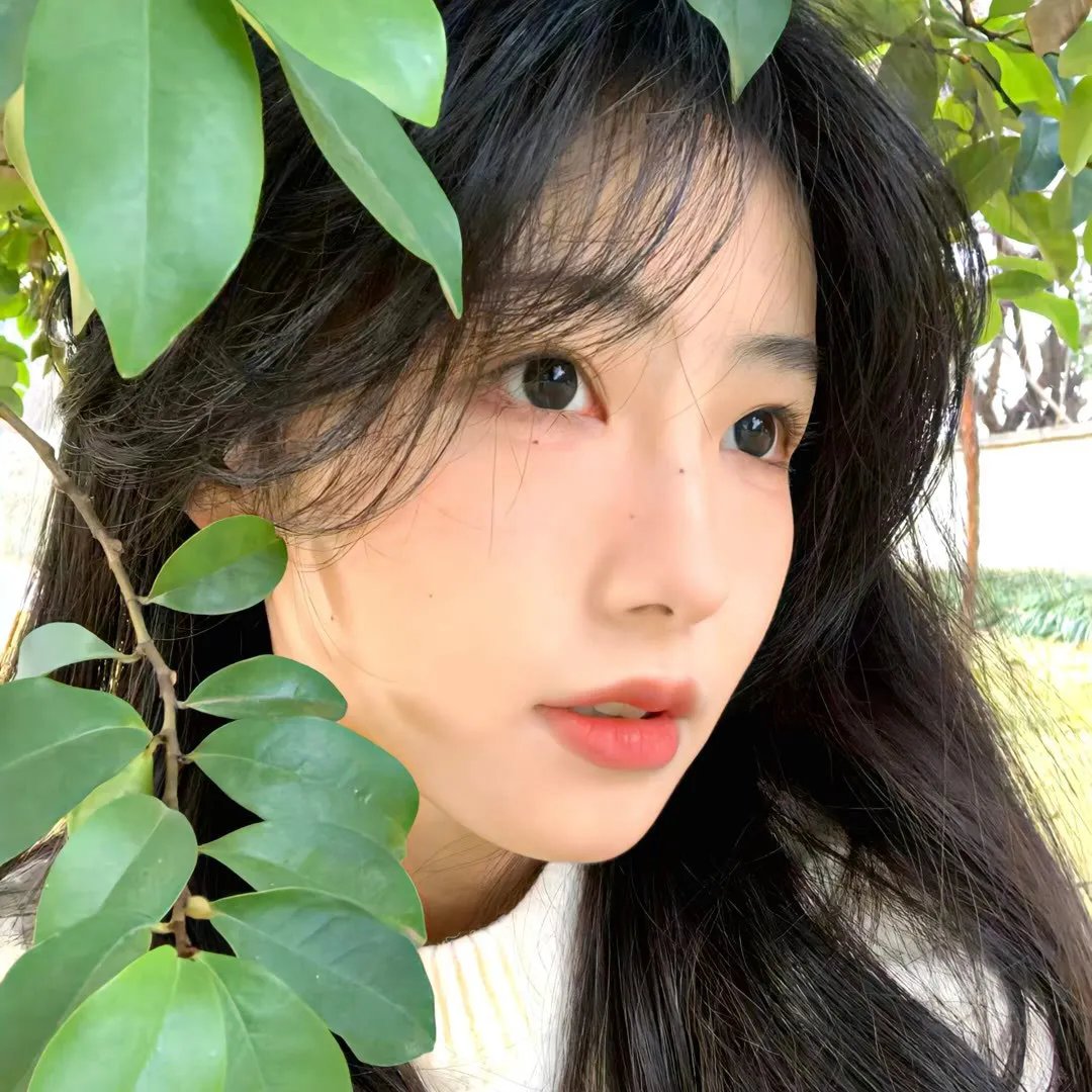 满天星的花语
